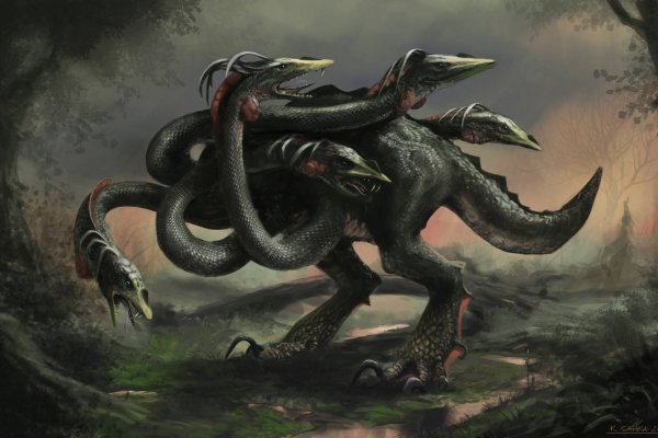 Kraken forum